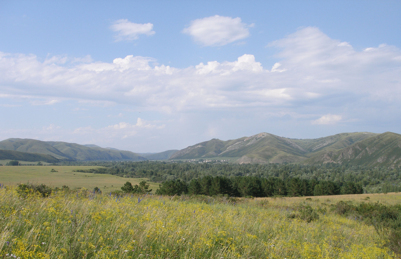 Россия. Алтайский край