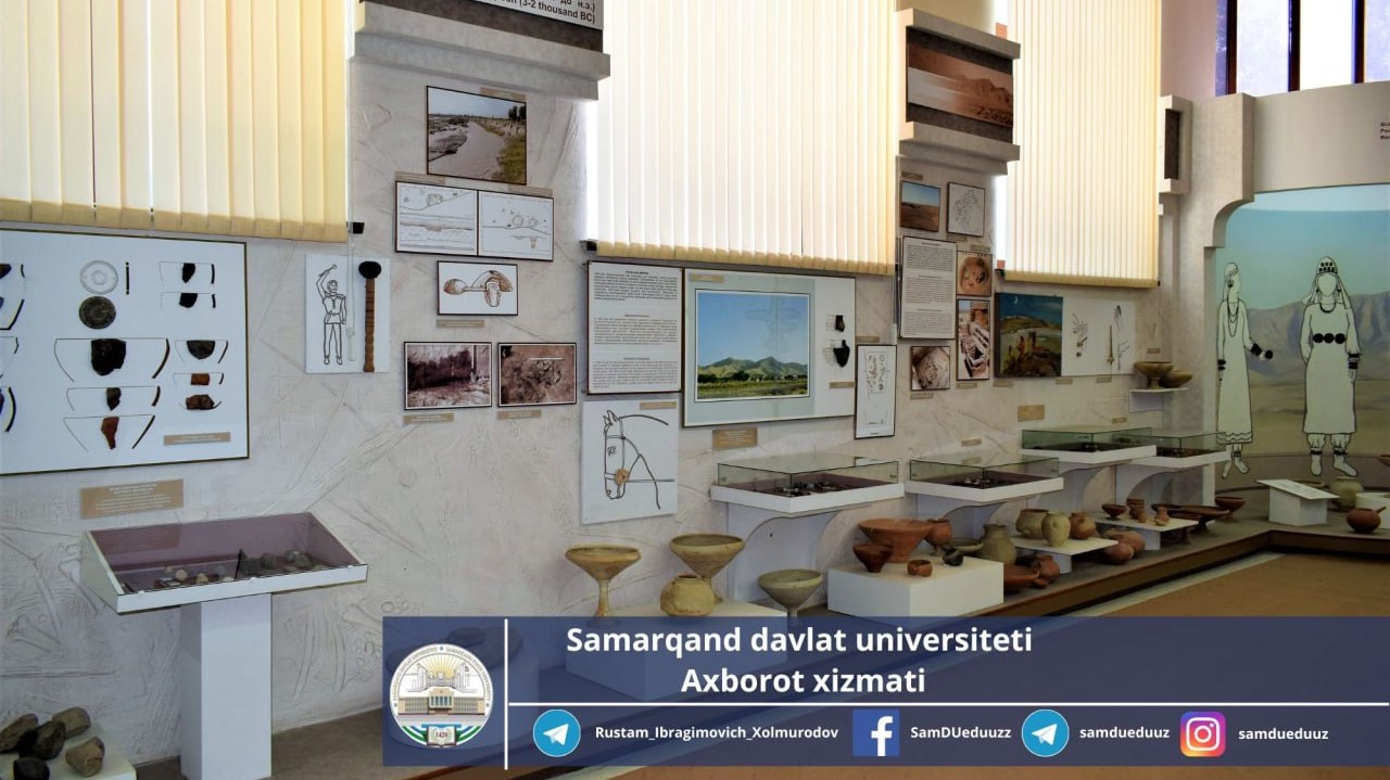 #Новости партнеров: более 60 тысяч находок хранится в фонде археологического музея СамГУ 