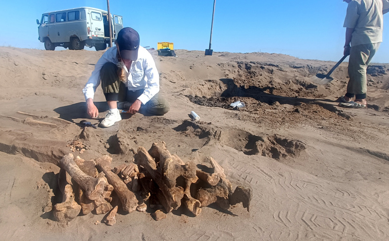 Каким был Алтай в Средневековье, рассказала археолог Большого Алтая