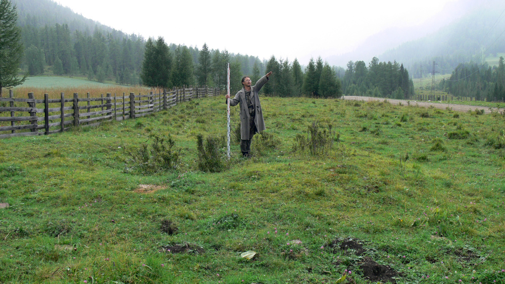 Танаш, могильник